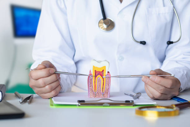 Best Emergency Denture Repair in Rockcreek, OR
